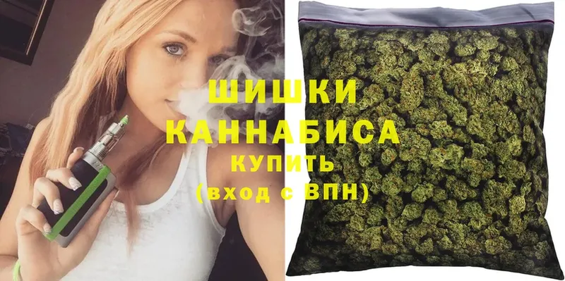 как найти закладки  Камышлов  МАРИХУАНА SATIVA & INDICA 